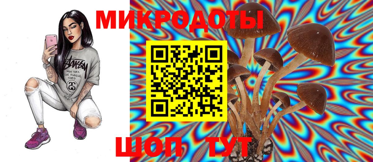 Балтийск  Псилоцибиновые грибы Psilocybine cubensis  Вход с VPN 
